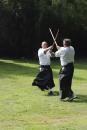 View The Cours D'armes 15 Août 2013 Album