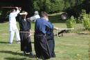 View The Cours D'armes 15 Août 2013 Album